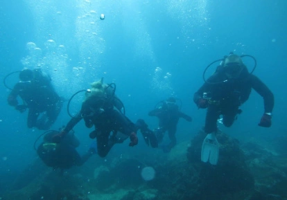 Diver.